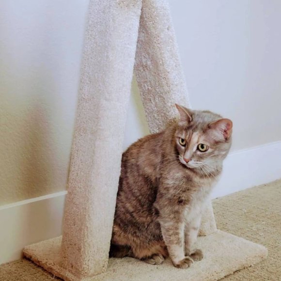 COPY - New A-Frame Cat Scratching Post - Picture 5 of 10